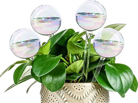 plant waterer glass|watering balls for potted plants.